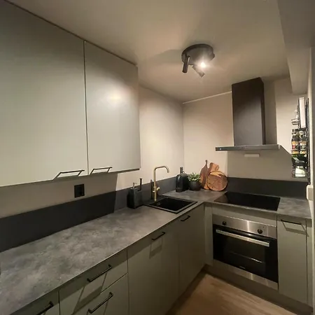 Newly Renovated In The Middle Of Centre * Trondheim