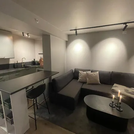 Newly Renovated In The Middle Of Centre Apartment Trondheim