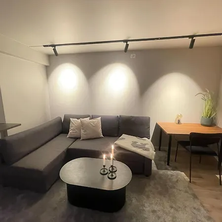Apartment Newly Renovated In The Middle Of Centre Trondheim